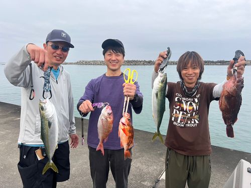 イナダの釣果