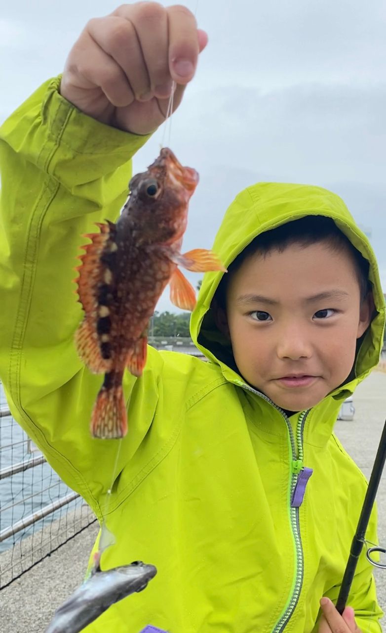 ガシラ・アジの釣果写真
