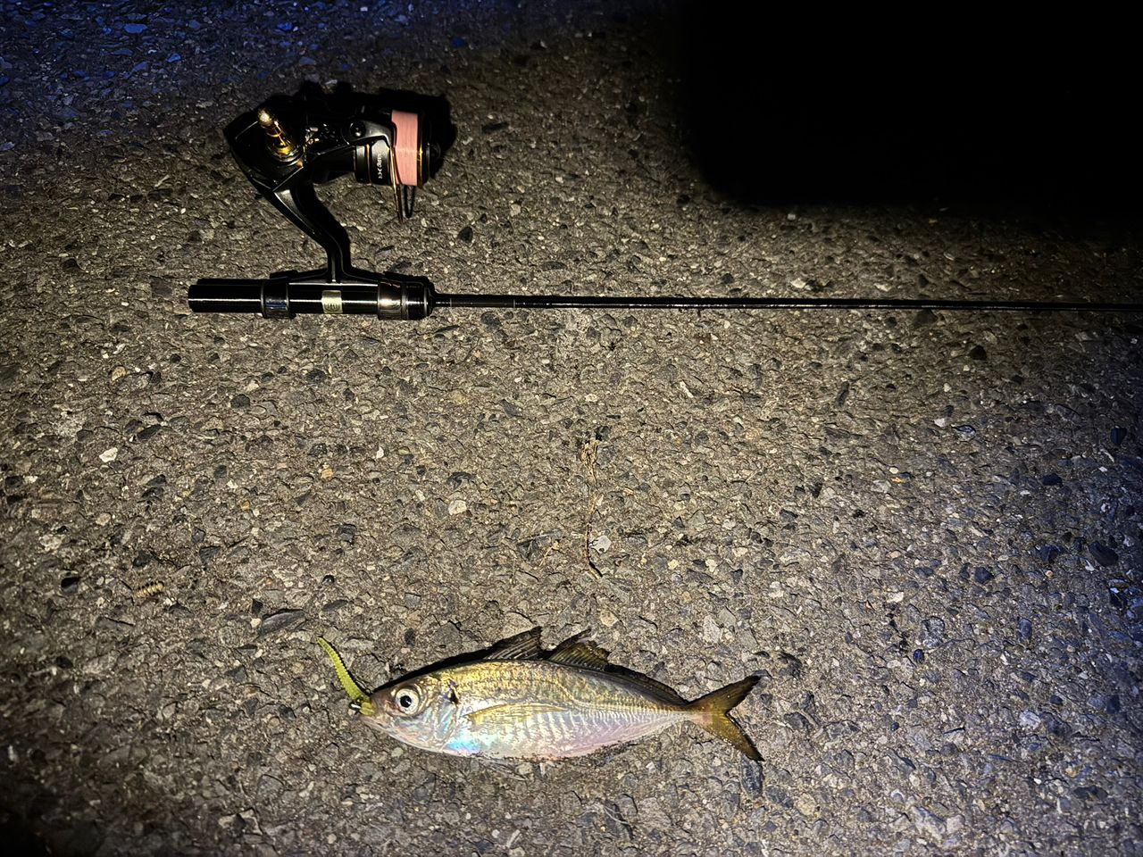 SHIMANO 22ソアレ XR C2500Sの最安値・インプレ・釣果 | 本音の口コミ