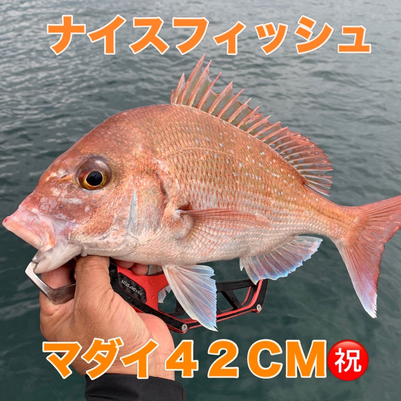 DAIWA 18紅牙 IC 100PL-RMの最安値・インプレ・釣果 | 本音の口コミが