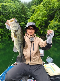 ブラックバスの釣果