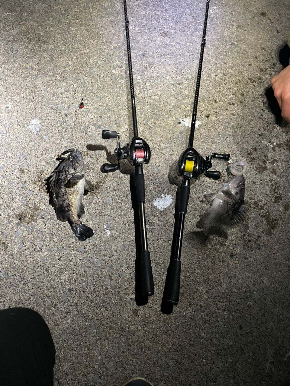 SHIMANO 20ハードロッカー XR B710Mの最安値・インプレ・釣果 | 本音の