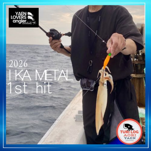 ケンサキイカの釣果