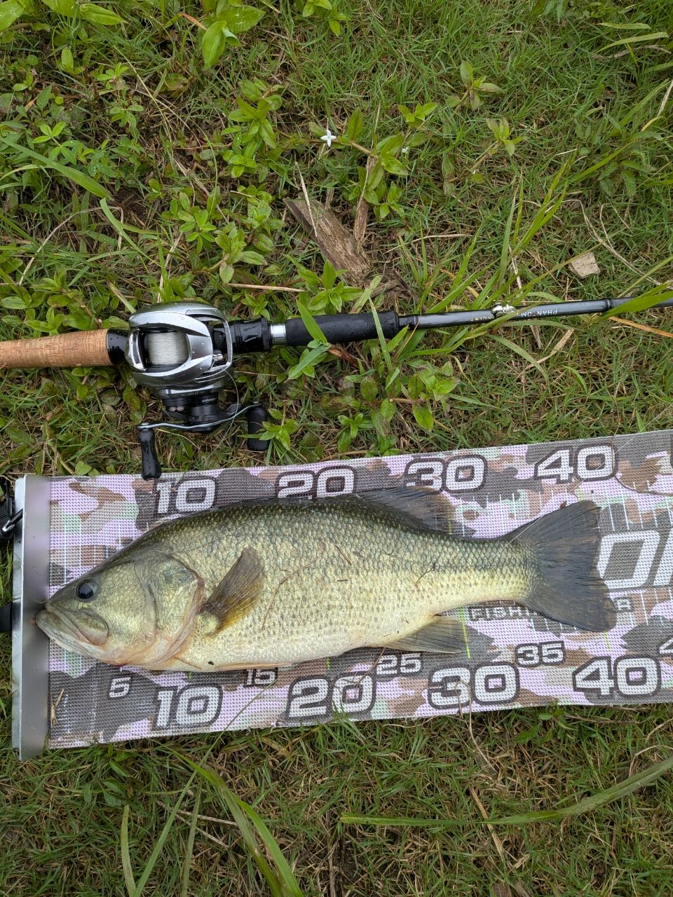 DAIWA 23ファントム リベラリスト 703MH+RSBの最安値・インプレ・釣果