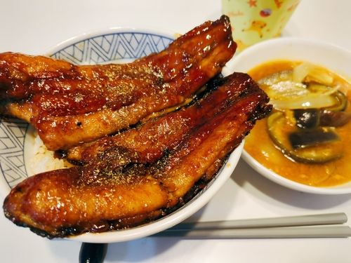 ナマズの釣果