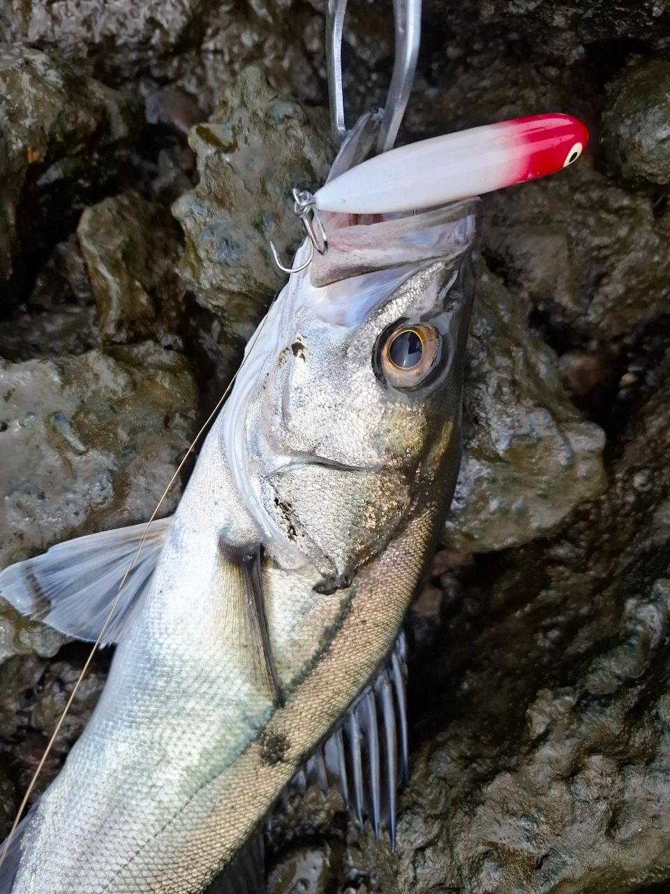 SHIMANO 20ルナミス S96Mの最安値・インプレ・釣果 | 本音の口コミが