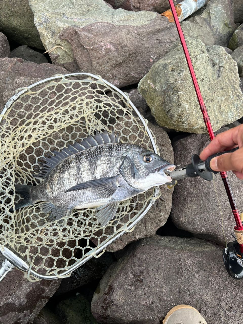 DAIWA 22シルバーウルフ SV TW PE スペシャル 1000XHの最安値