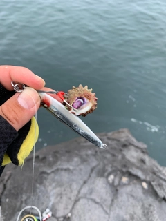 釣果