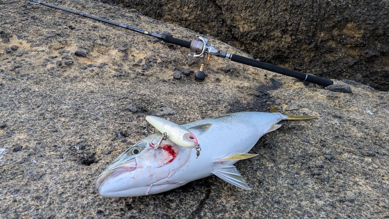 DAIWA 23ドラッガー X 100M-3の最安値・インプレ・釣果 | 本音の口コミ