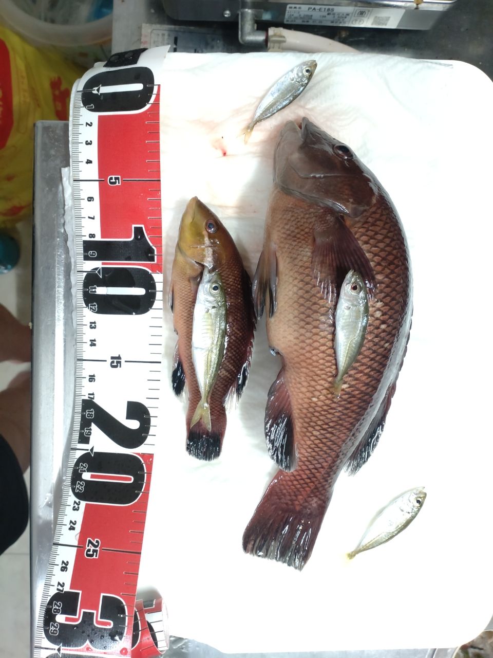SHIMANO 23ルアーマチック（ソルトルアー推奨モデル） S100MHの最安値