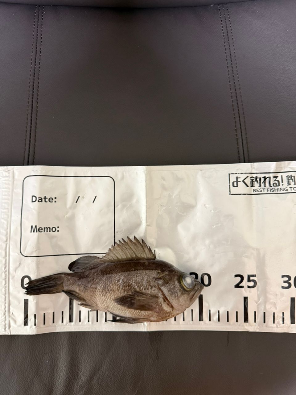クロメバルの釣果写真