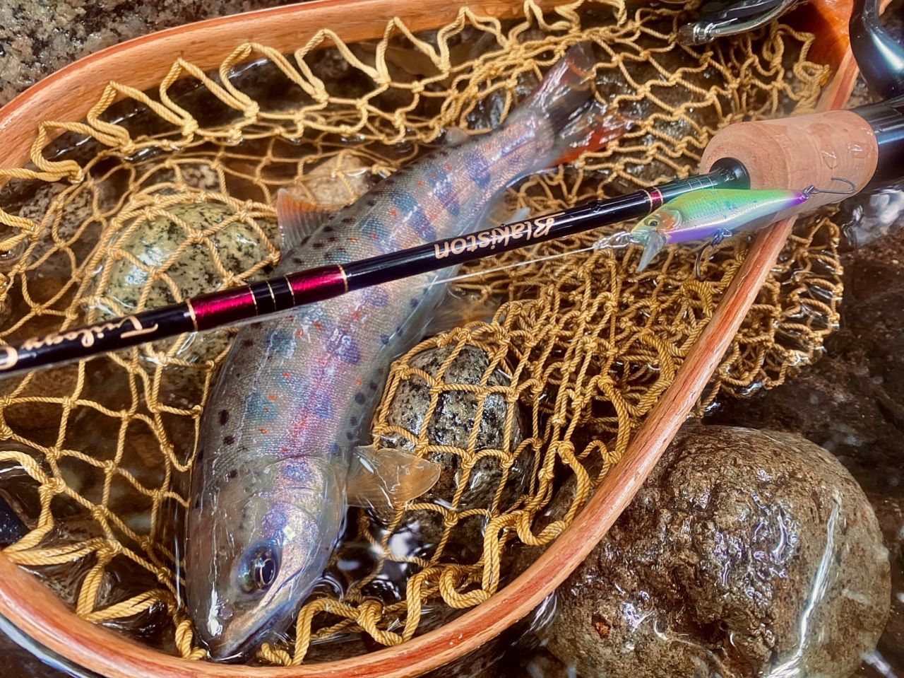 DAIWA 21ルビアス エアリティ FC LT2000S-Hの最安値・インプレ・釣果