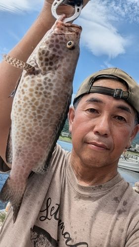 オオモンハタの釣果