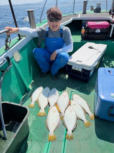 ヒラメの釣果