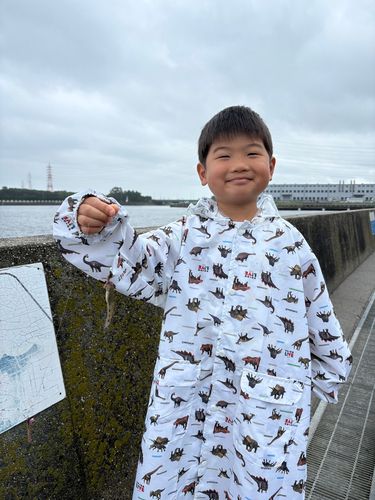 セイゴ（ヒラスズキ）の釣果