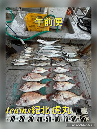 タイの釣果