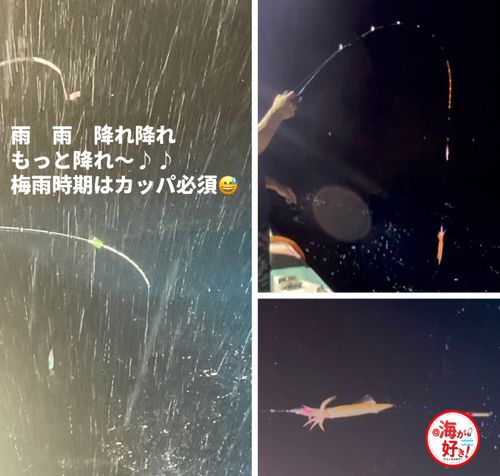 ケンサキイカの釣果