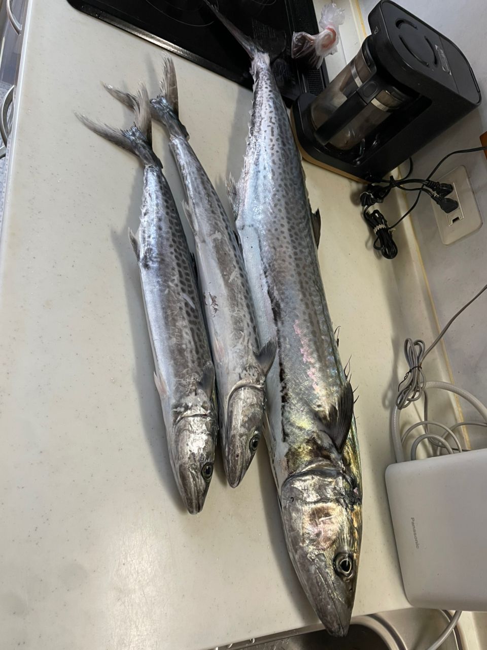 SHIMANO 22オシアジガー フルベンド B60-2の最安値・インプレ・釣果