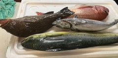釣果