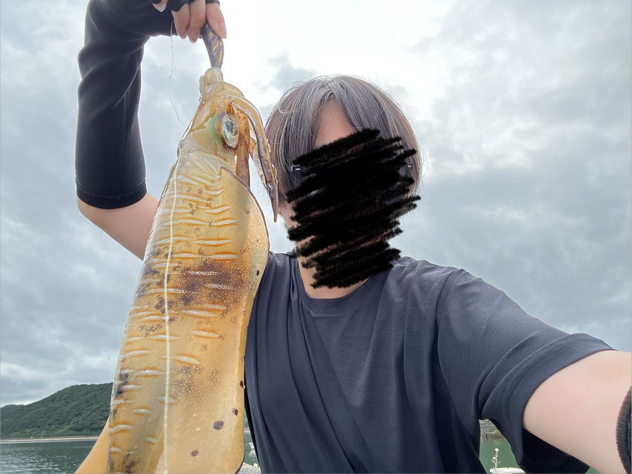 アオリイカの釣果写真