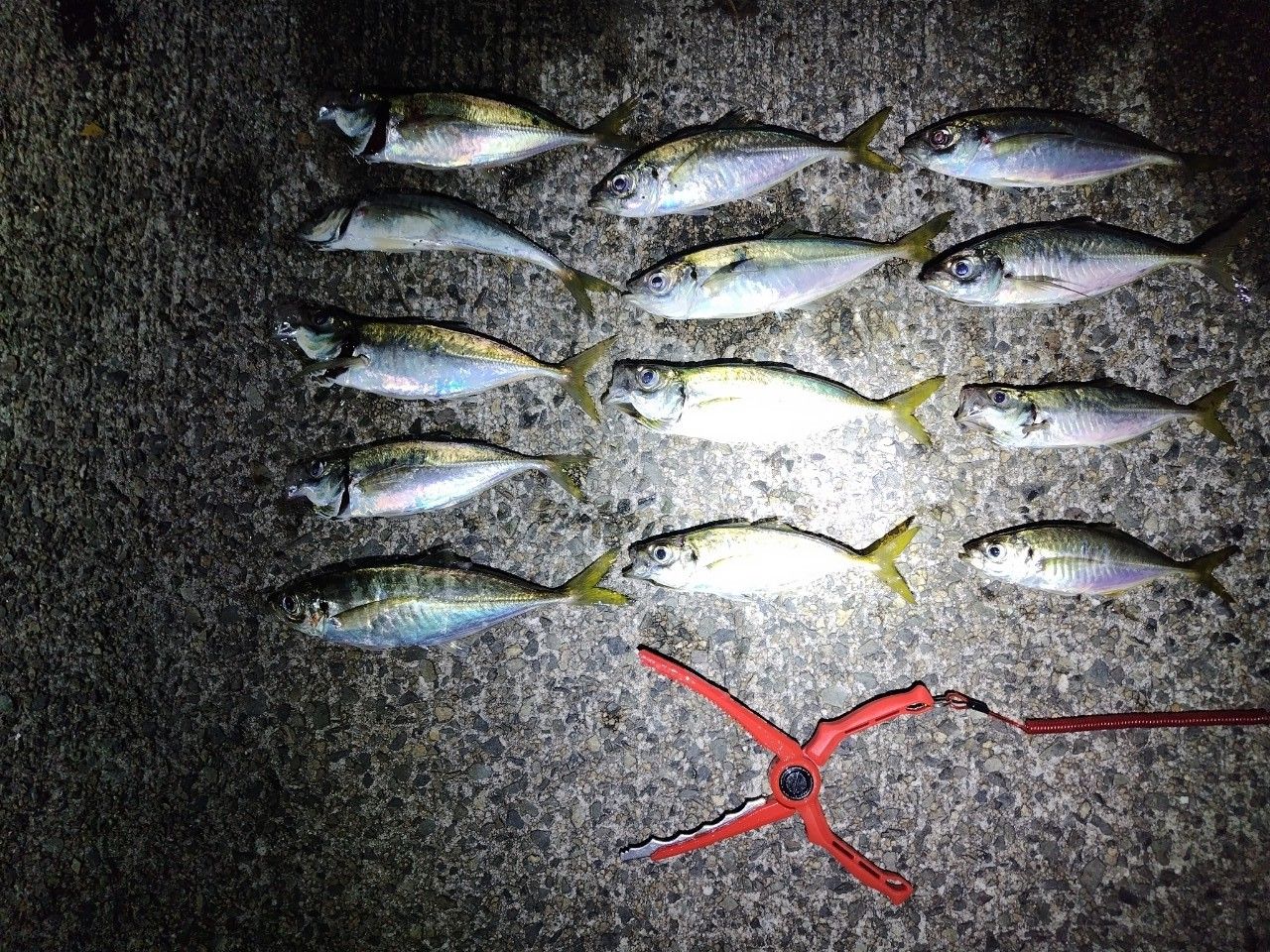 SHIMANO 22ソアレ SS アジング S48SUL-Sの最安値・インプレ・釣果