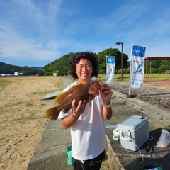 キジハタの釣果