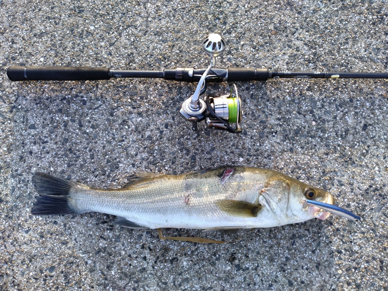 DAIWA 21ラブラックス AGS 90MLの最安値・インプレ・釣果 | 本音の