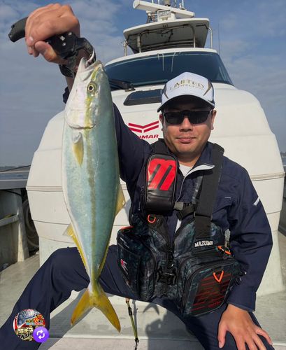 ワラサの釣果