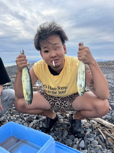 シイラの釣果