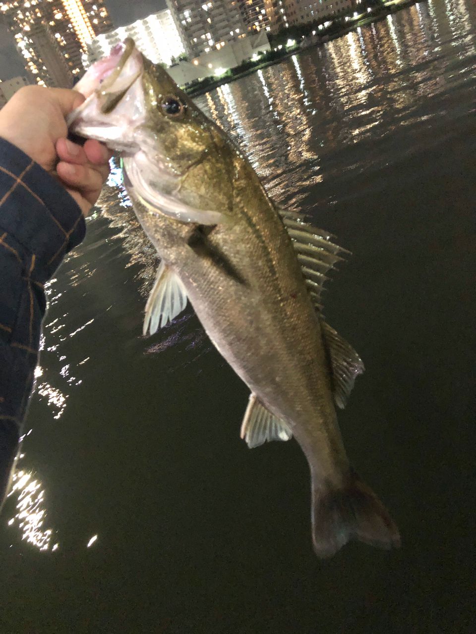 DAIWA 20ブレイゾン モバイル 6106TMHBの最安値・インプレ・釣果