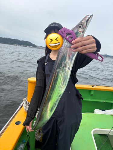 タチウオの釣果