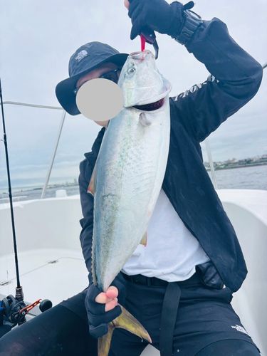 メジロの釣果