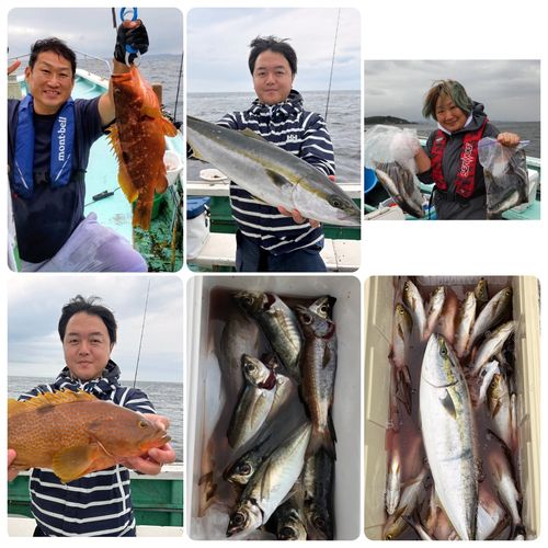 ワラサの釣果