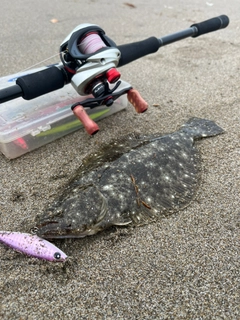 ヒラメの釣果