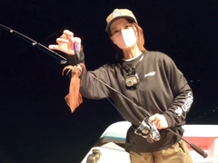 ケンサキイカの釣果