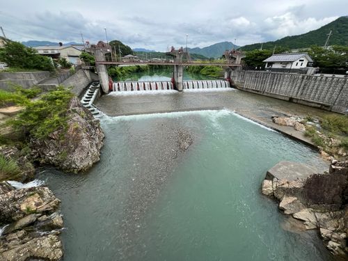 コアユの釣果