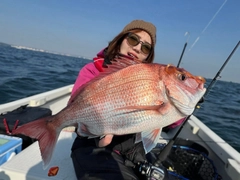 マダイの釣果