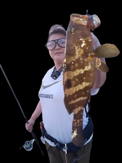 アコウの釣果