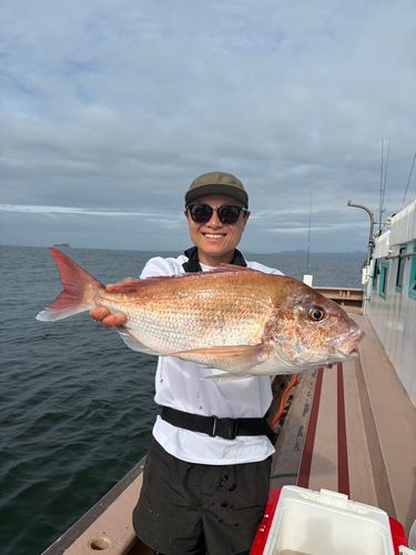 タイの釣果