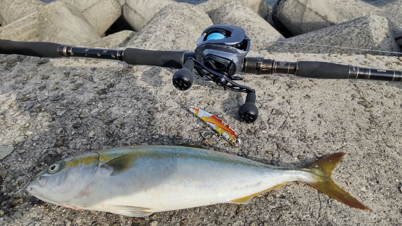 AbuGarcia ソルティーステージ KR-X ショアジギングの最安値・インプレ