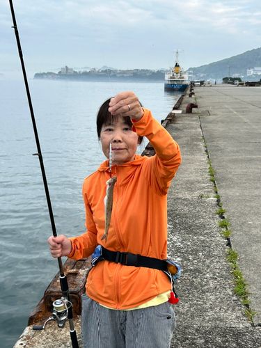エソの釣果