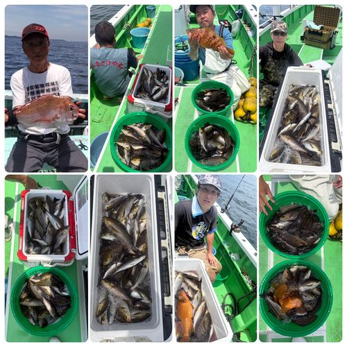 イサキの釣果