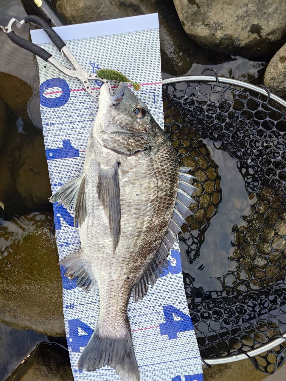 DAIWA 22シルバーウルフ SV TW PE スペシャル 1000XHの最安値