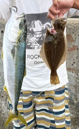 イナダの釣果