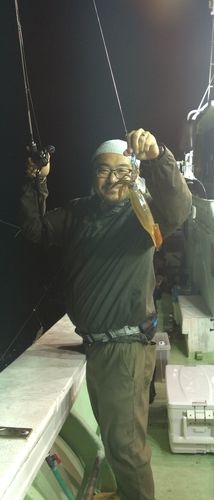スルメイカの釣果