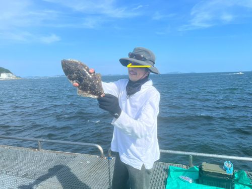 ヒラメの釣果