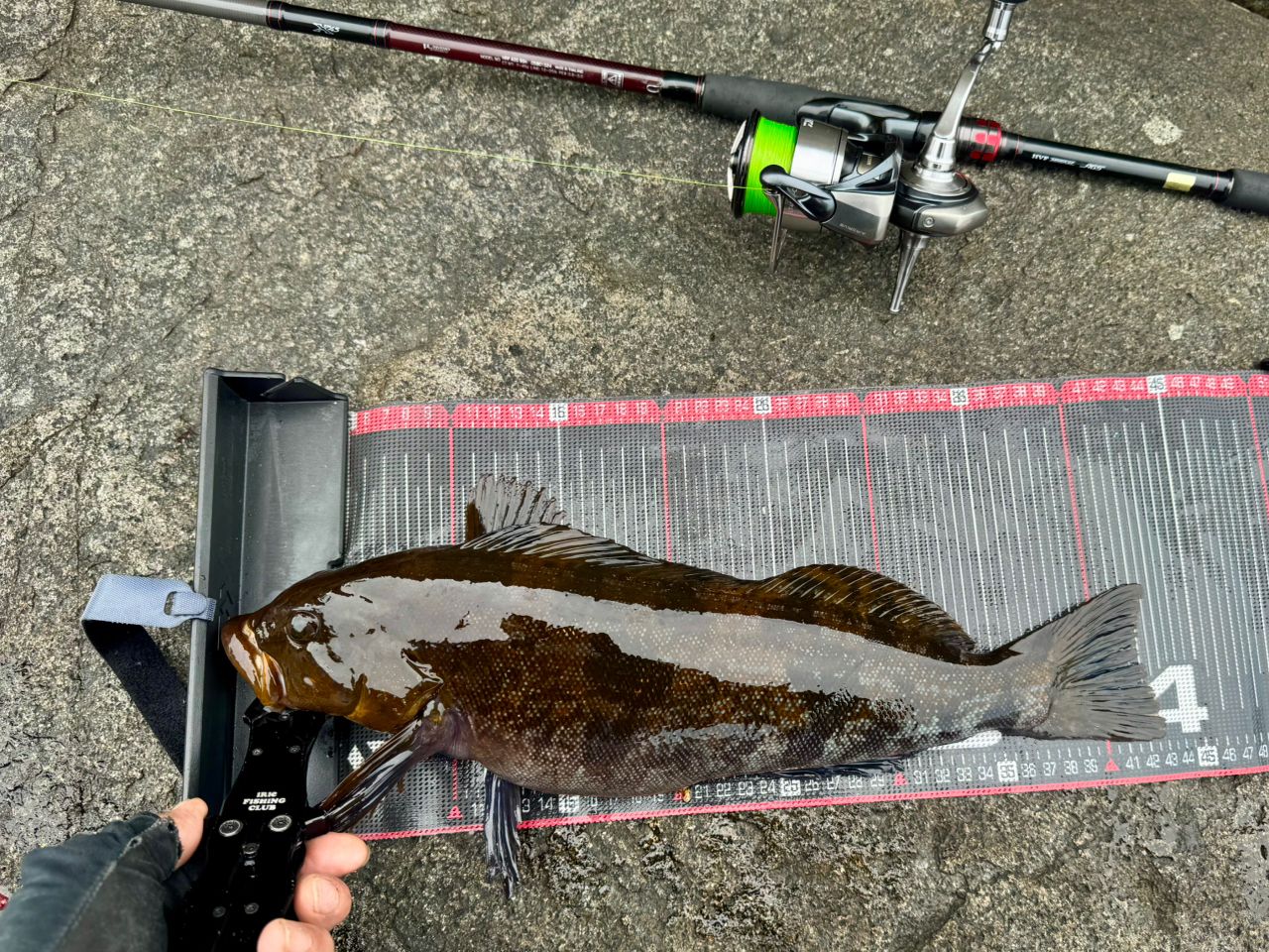 DAIWA HRF® (ハードロックフィッシュ) AGS 2019年モデルの最安値
