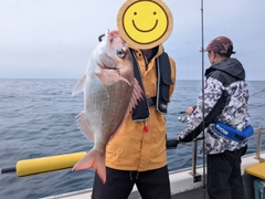 チダイの釣果