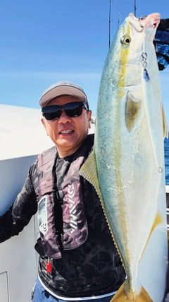イナダの釣果