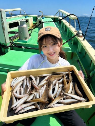 シロギスの釣果